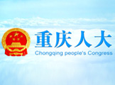 公司领导受邀参加“重庆人大网”全新改版上线仪式